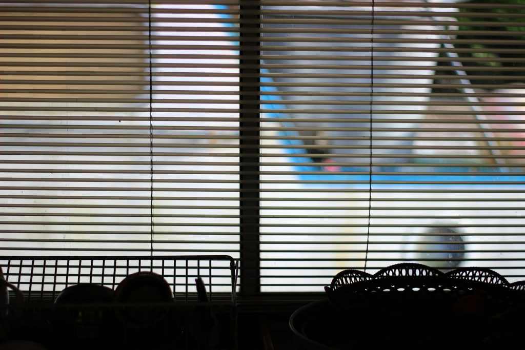 How Long Do Motorized Blinds Last? Longer than You Think